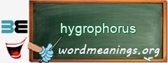 WordMeaning blackboard for hygrophorus